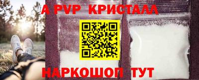 прущие крисы Гатчина