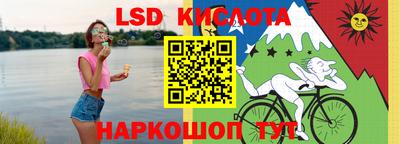 прущие крисы Гатчина