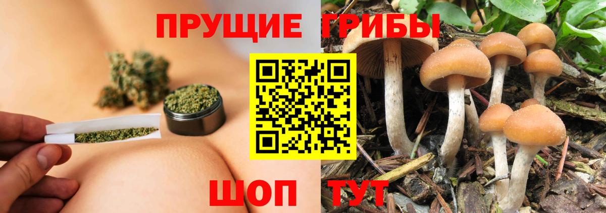 Псилоцибиновые грибы ЛСД  Псилоцибиновые грибы мицелий  Вход с VPN  Гурьевск 