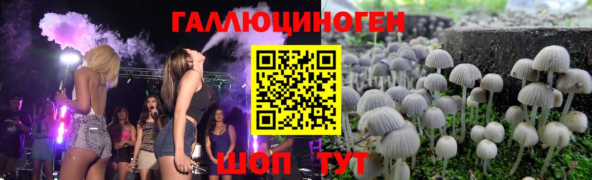 Галлюциногенные грибы мухоморы Гурьевск